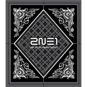 2NE1 - [Nolza] 1st Live Concert