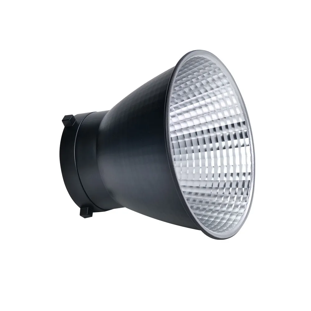 Amaran 100d S Daylight COB LED Monolight