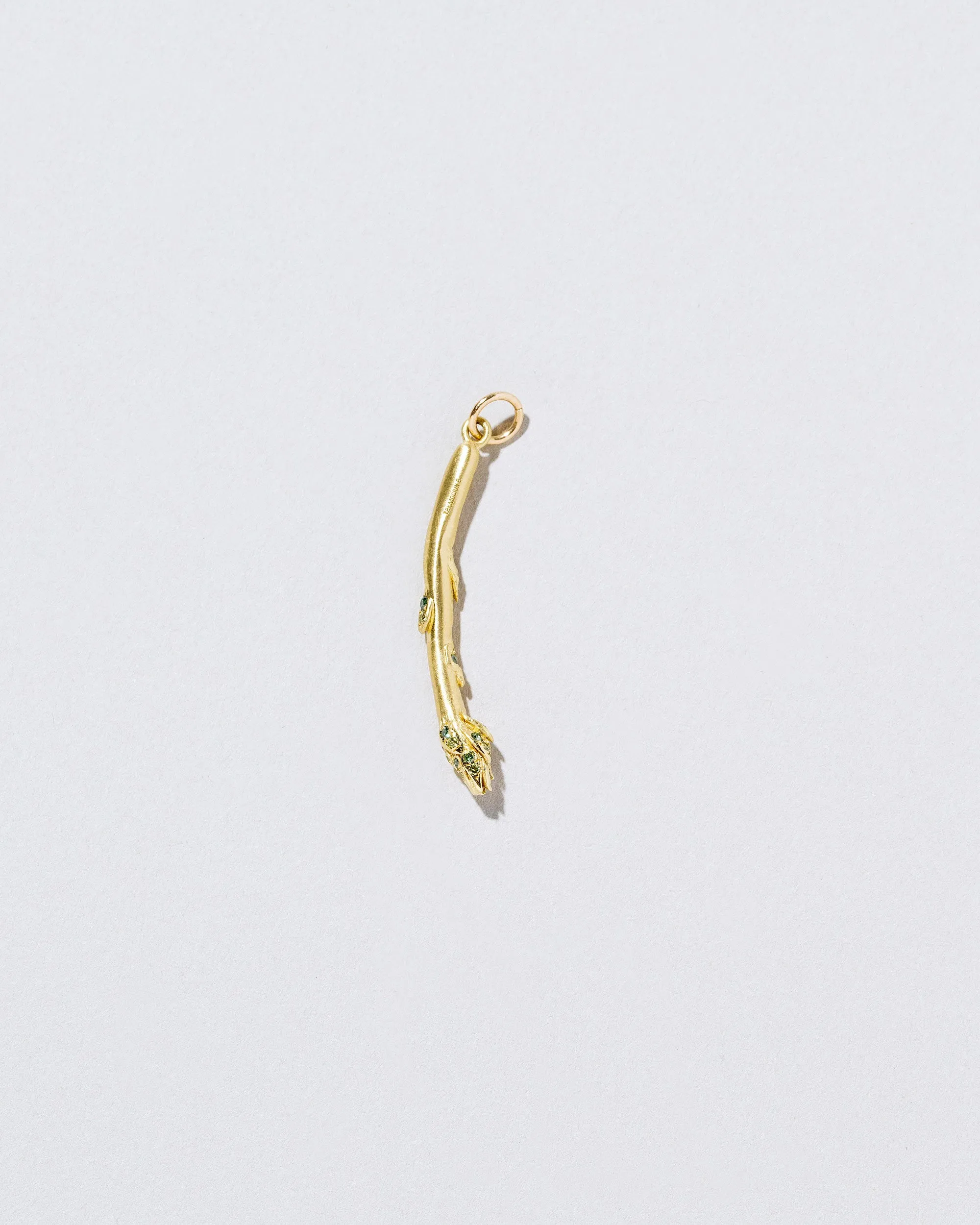 Asparagus Charm