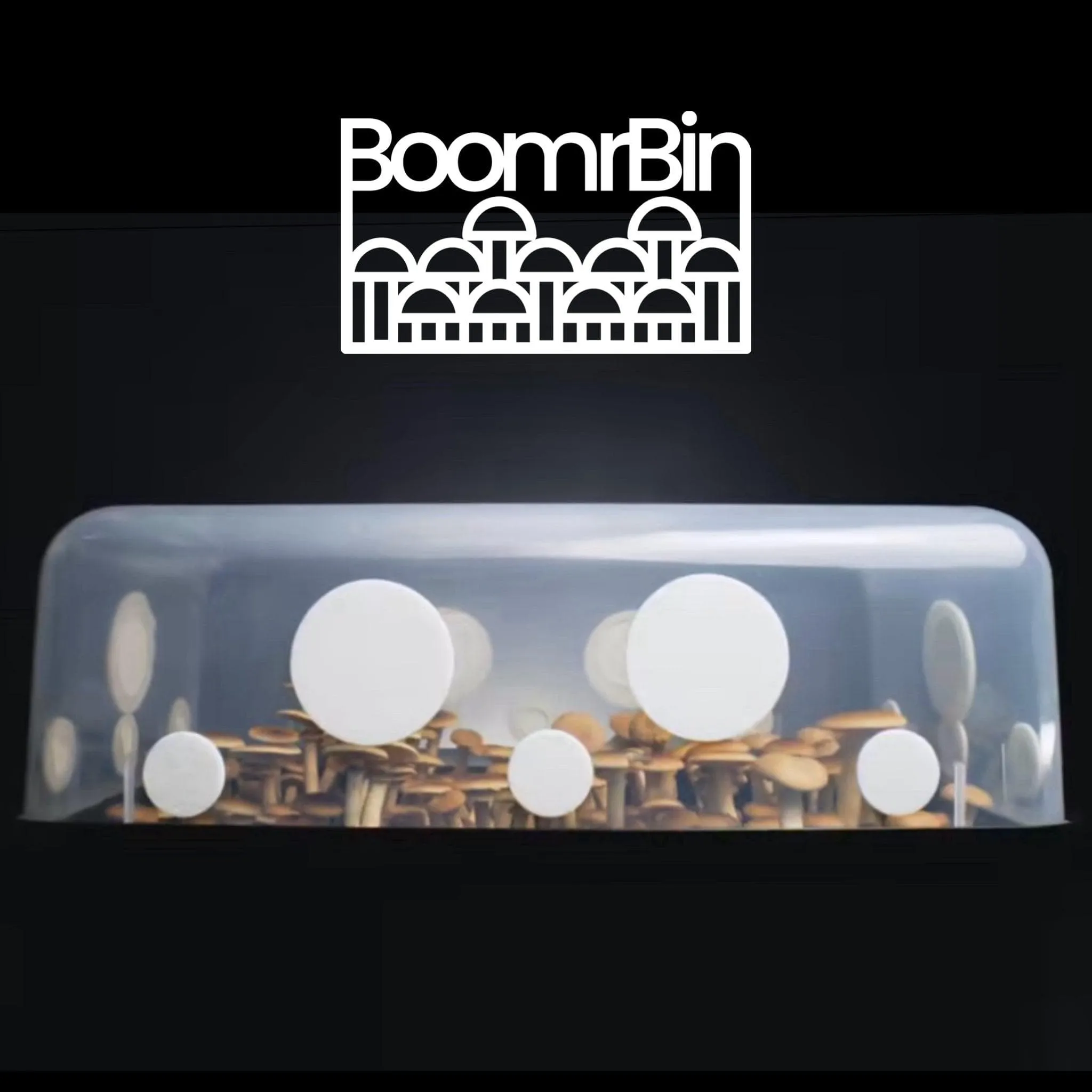 'Boomr Bin' Monotub Mushroom Grow Kit