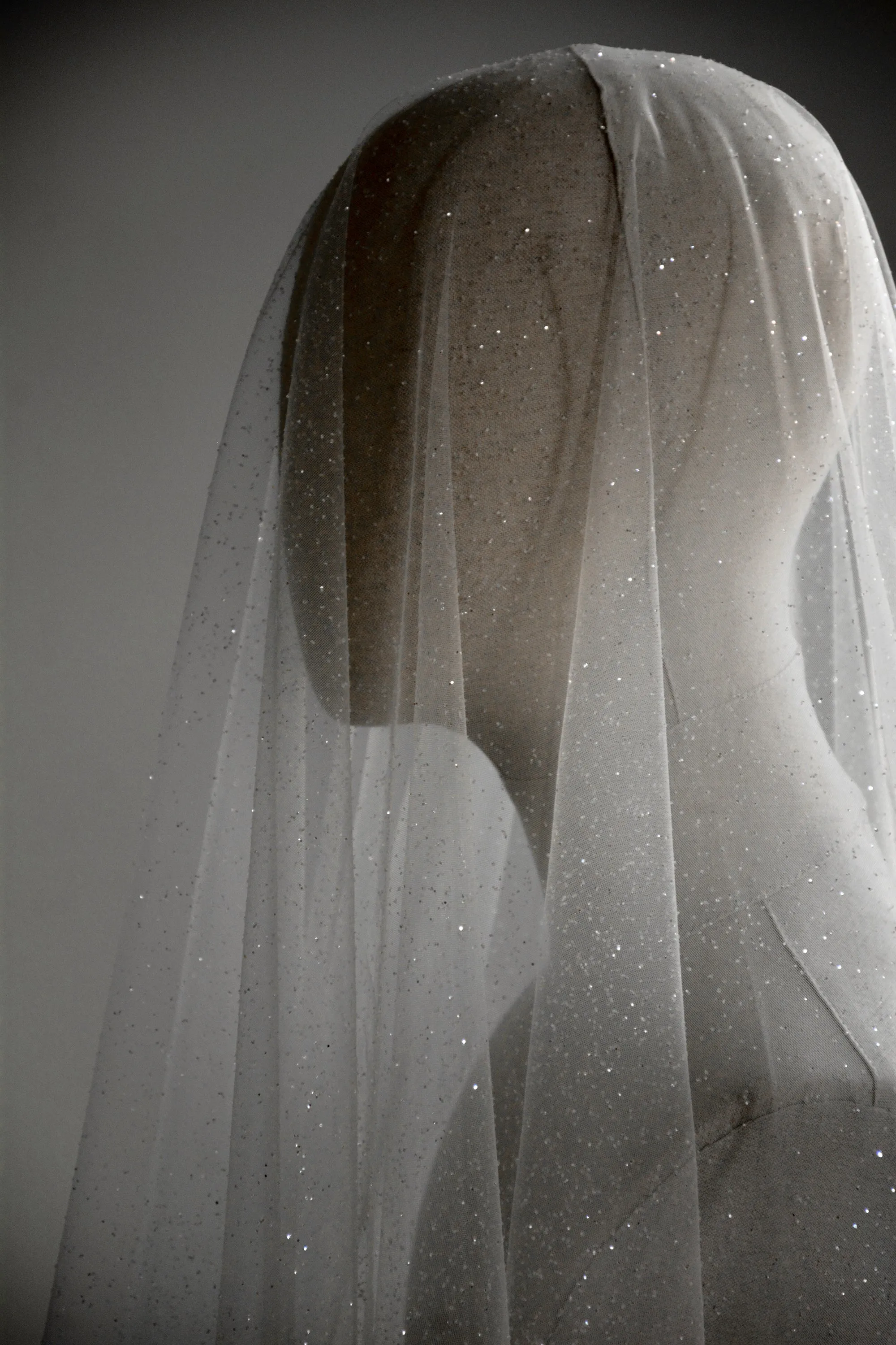 CAPELLA | Sparkling Wedding Veil with Blusher