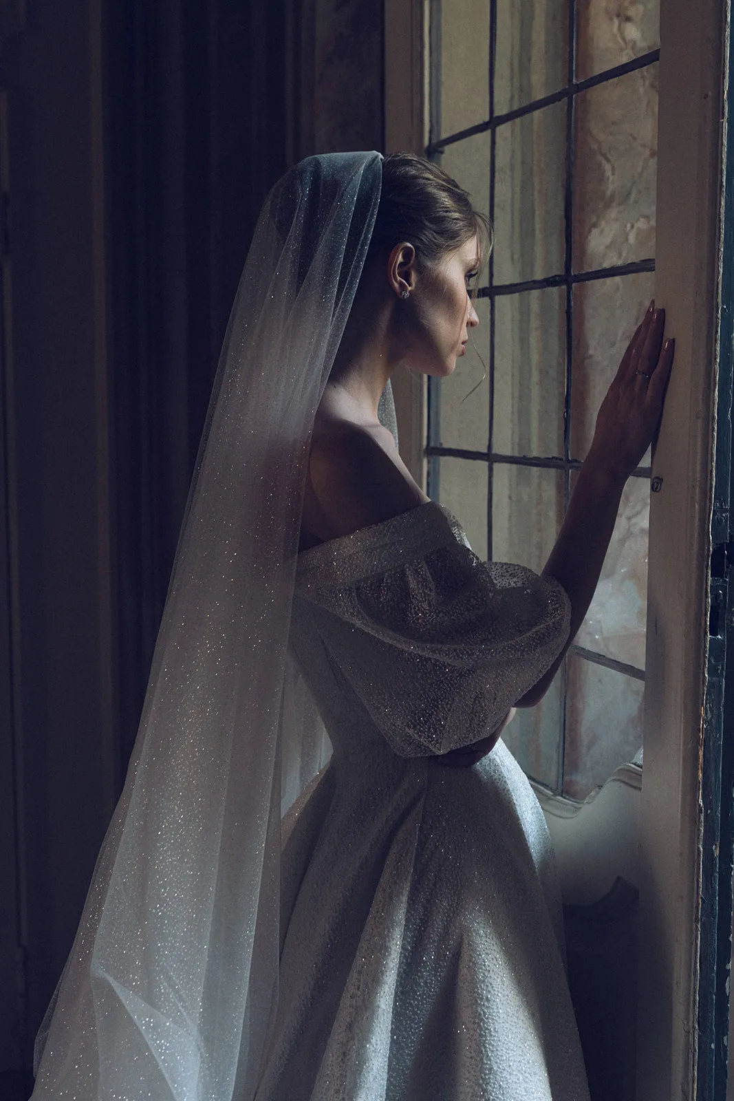 CAPELLA | Sparkling Wedding Veil with Blusher