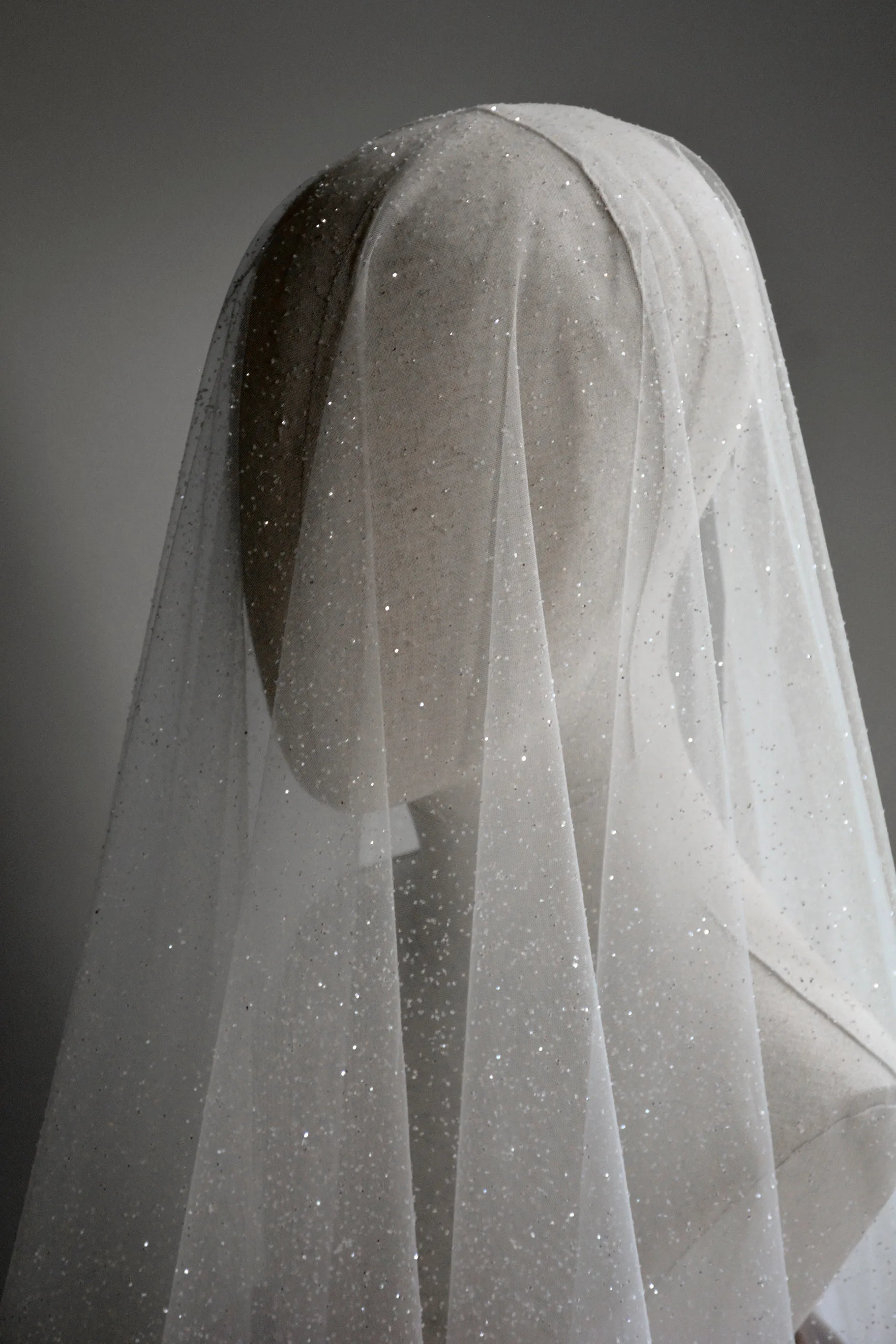 CAPELLA | Sparkling Wedding Veil with Blusher