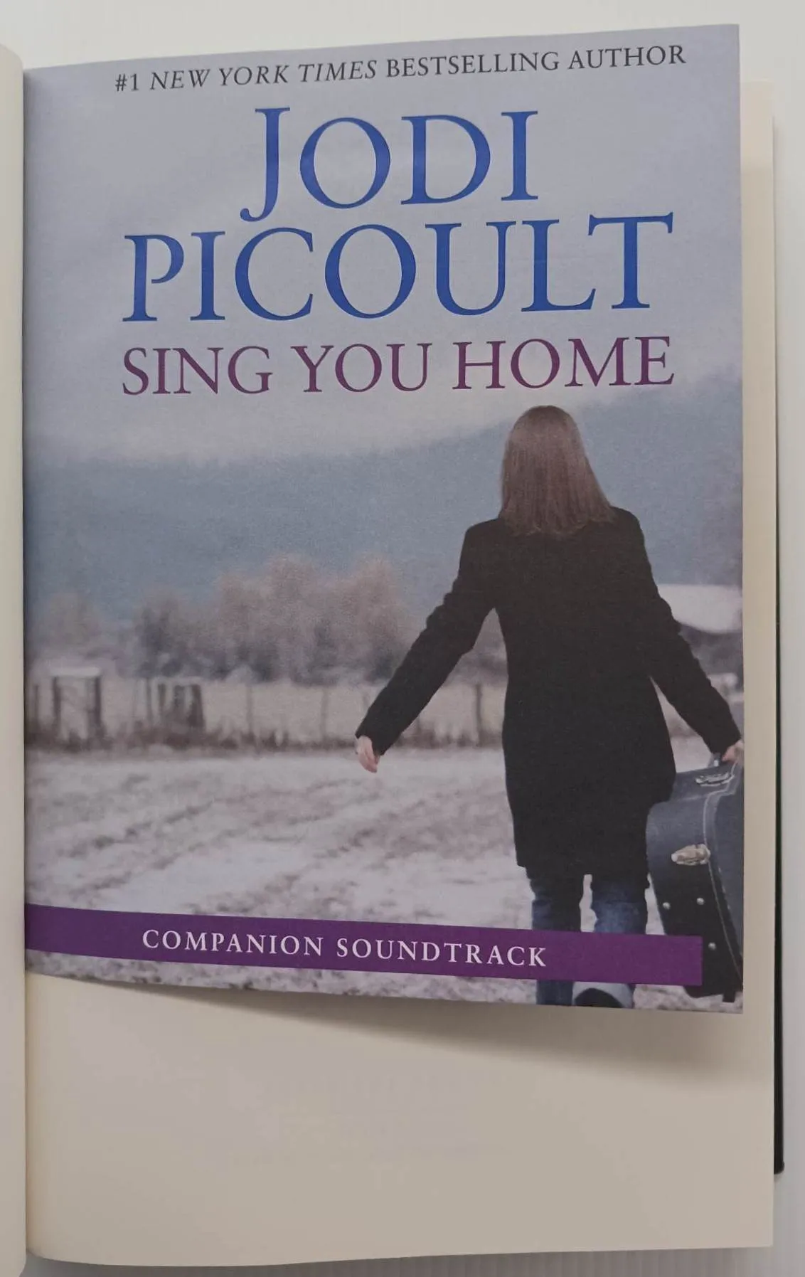 SING YOU HOME - Jodi Picoult